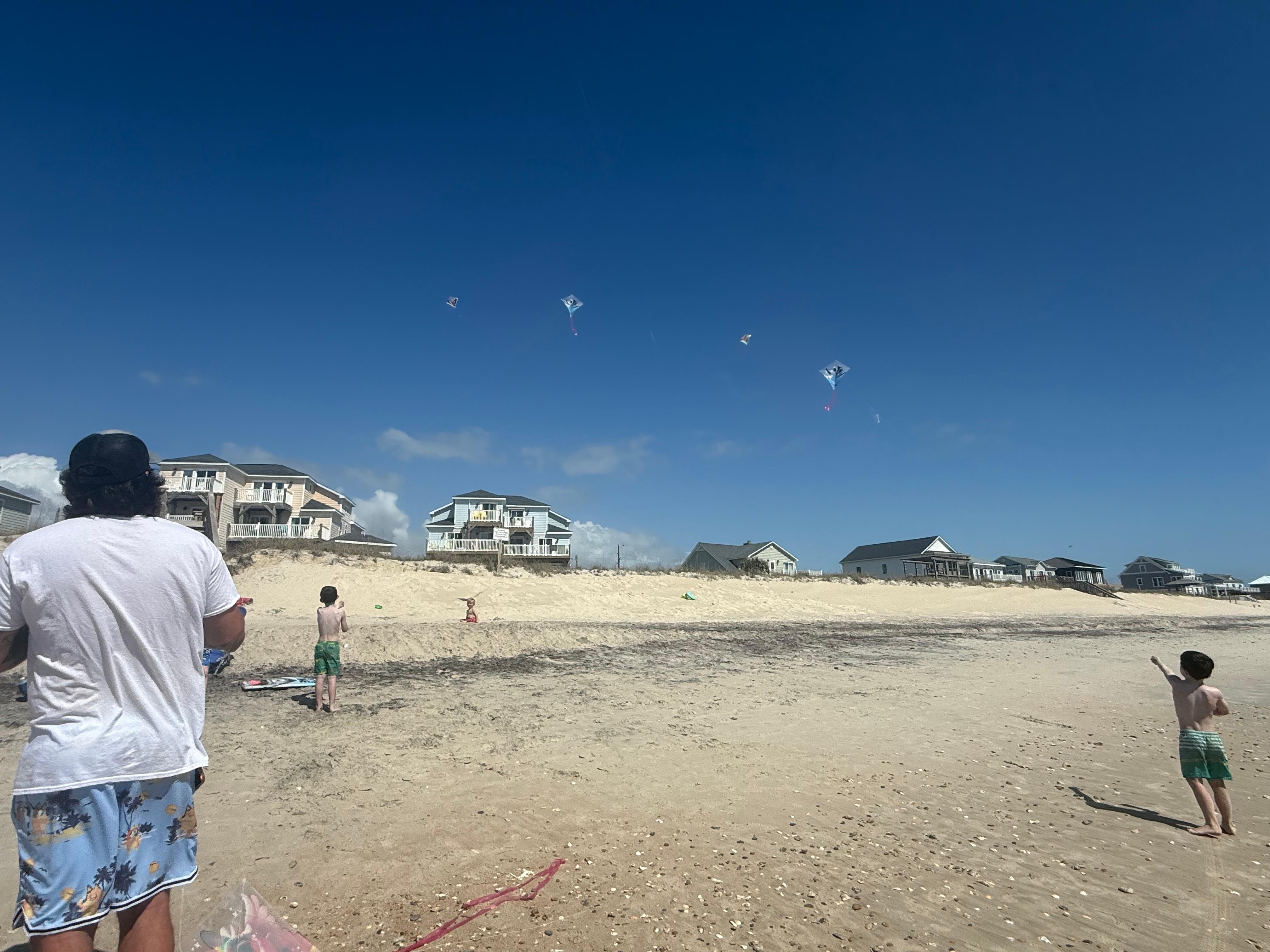 View from beach back to 3 little turtles stay 