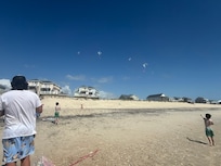 View from beach back to 3 little turtles stay