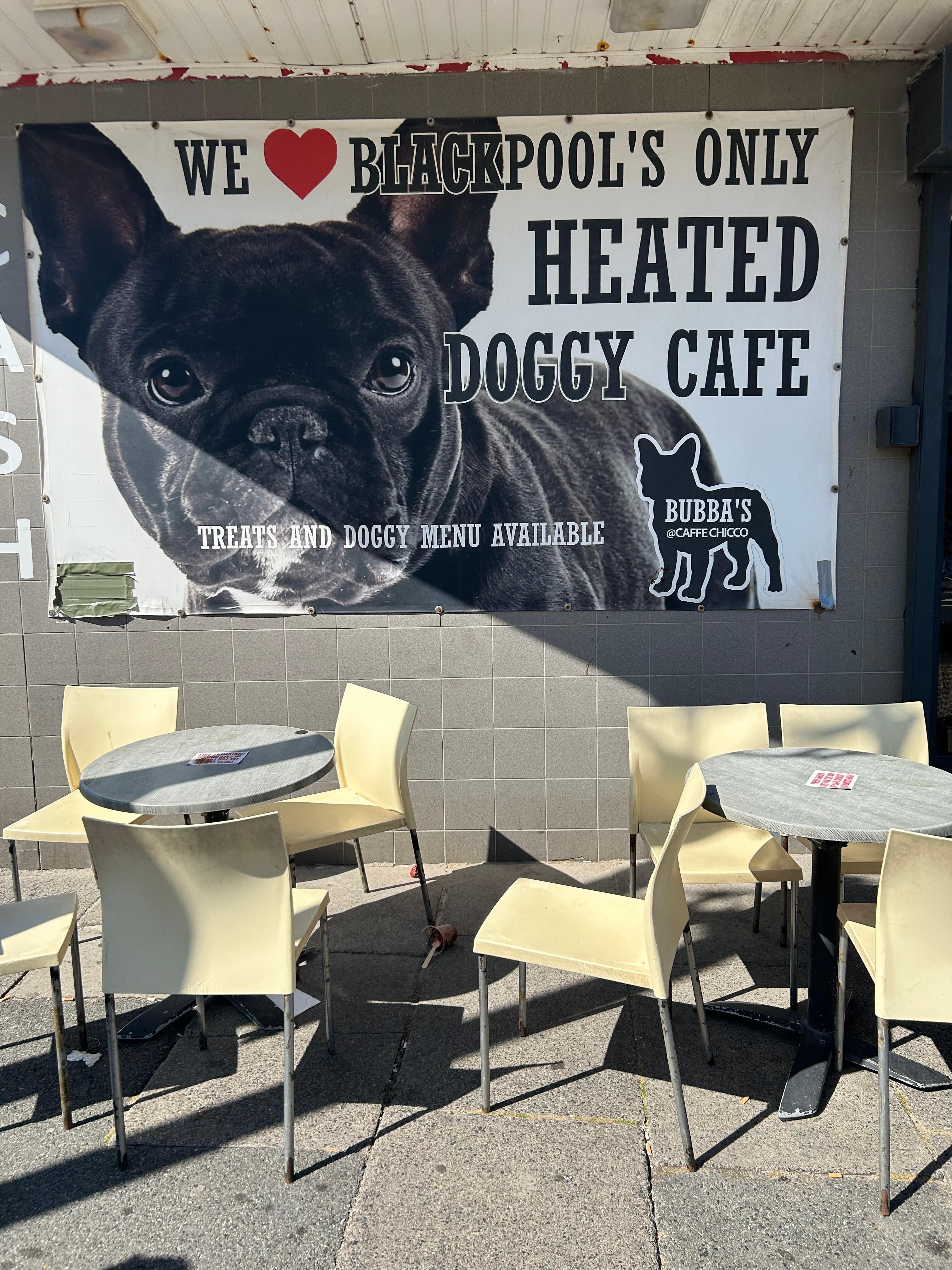 Doggy cafe