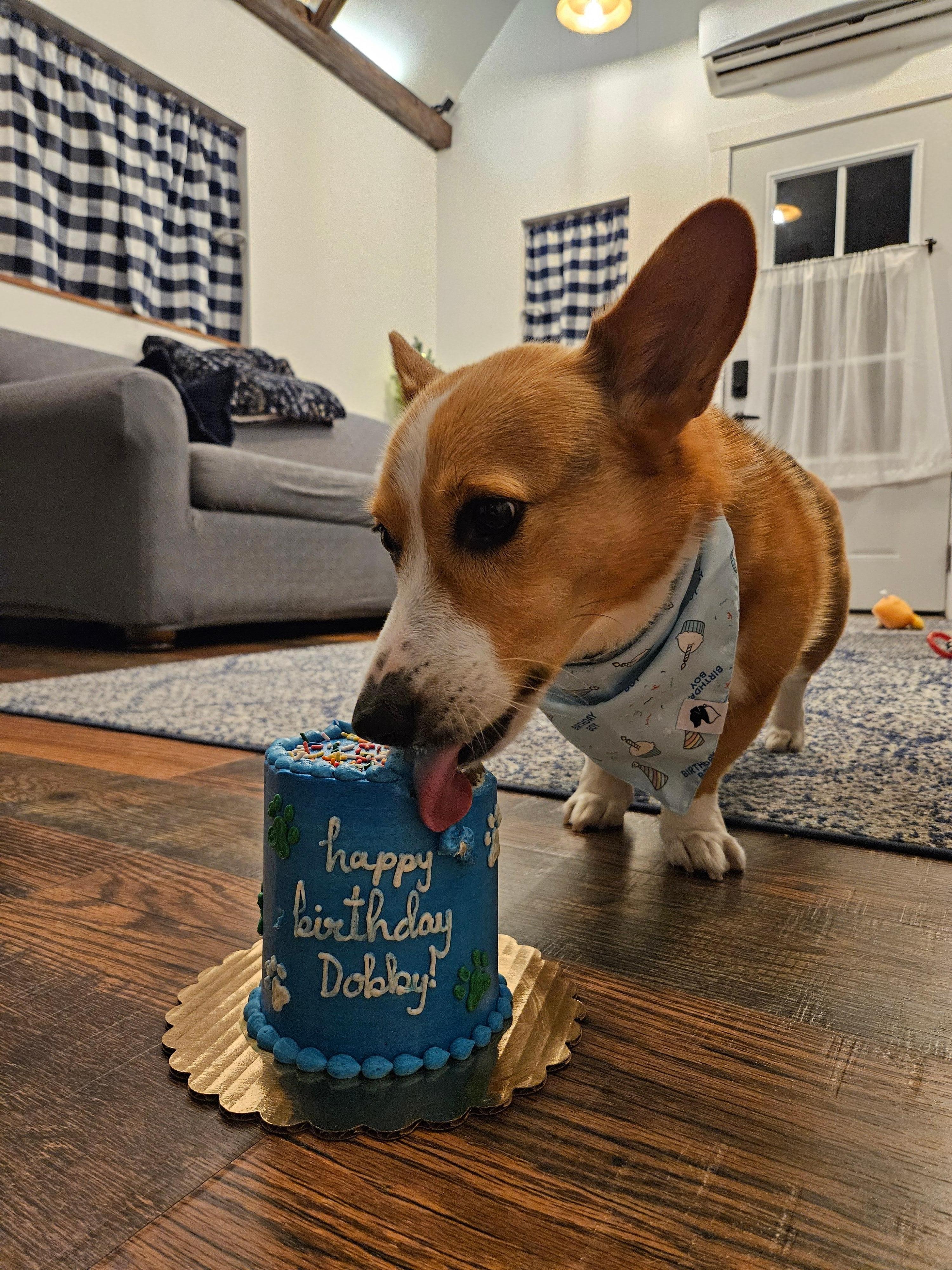 He's a new years baby. 