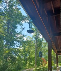 Could have spent all day watching the hummingbirds visit the front porch!