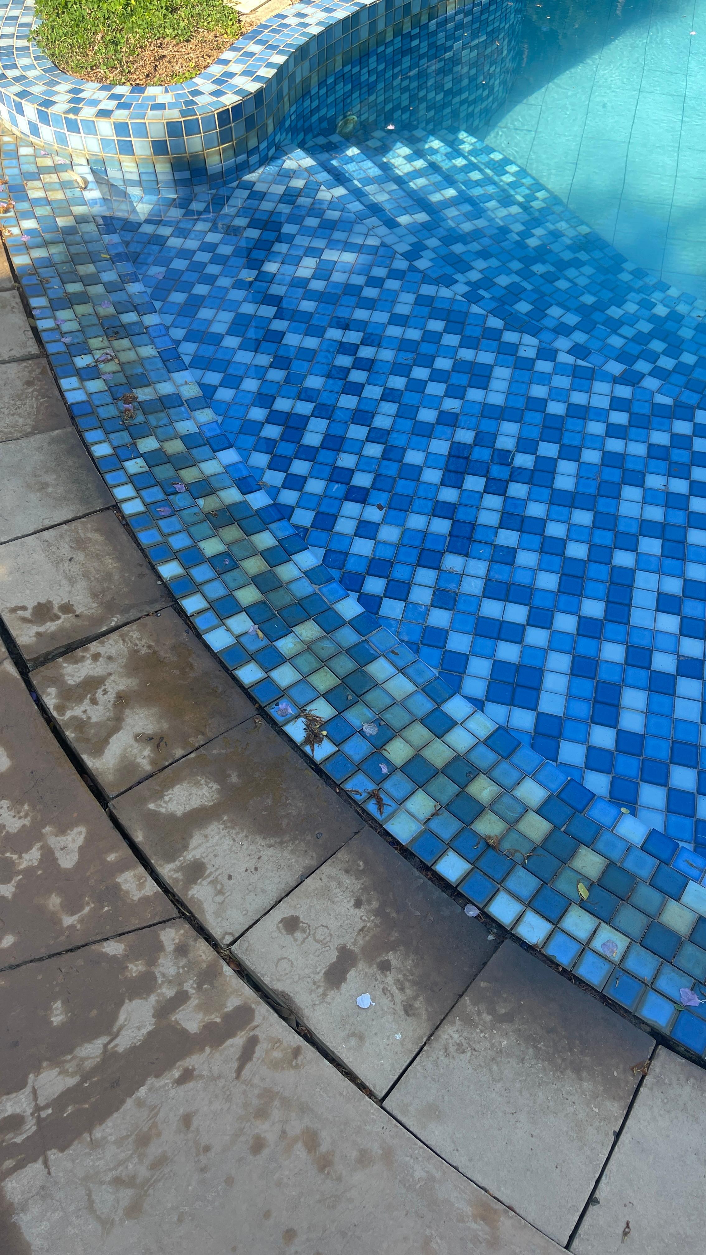 Very dirty water and pool edges 