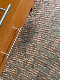 This was one of the many stains on the carpet