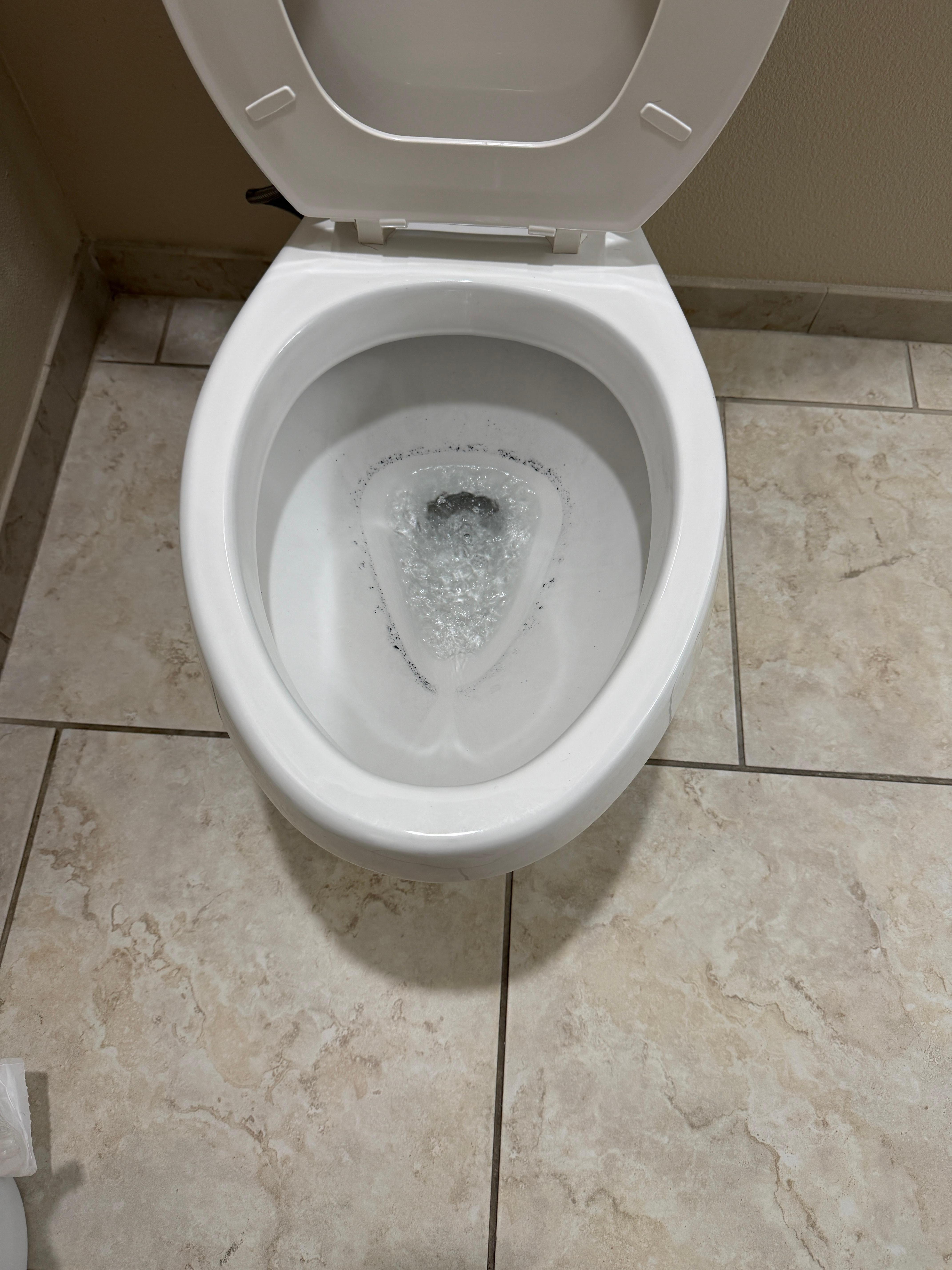 After about 15 flushes