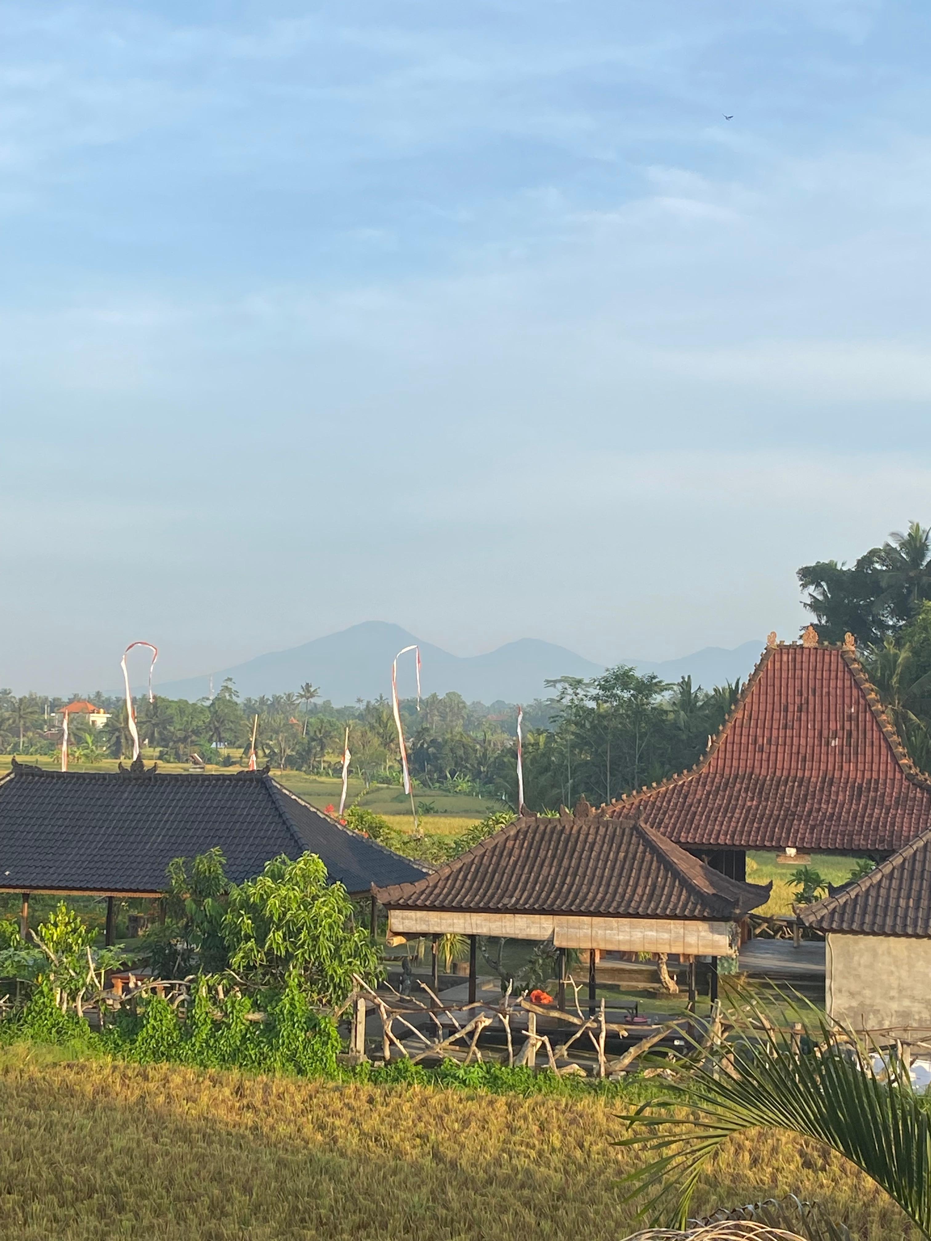 Balcony view from the View Suite