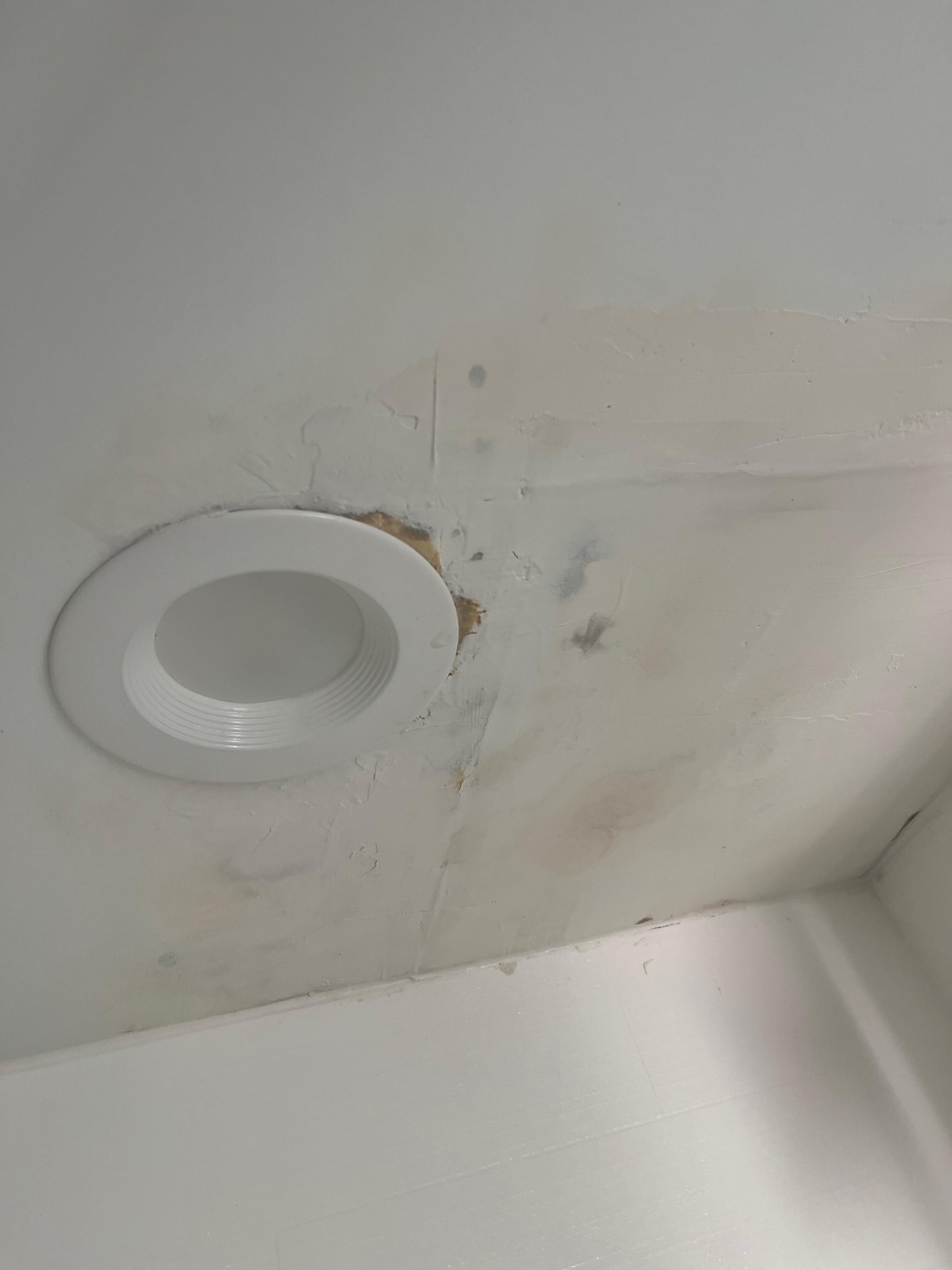 Mold in rm 238