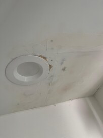 Mold in rm 238