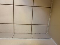 dirty bathroom floor with hair behind door
