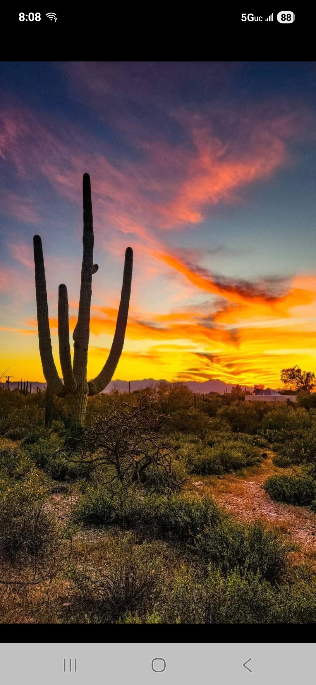 Sunsets are beautiful 😍 