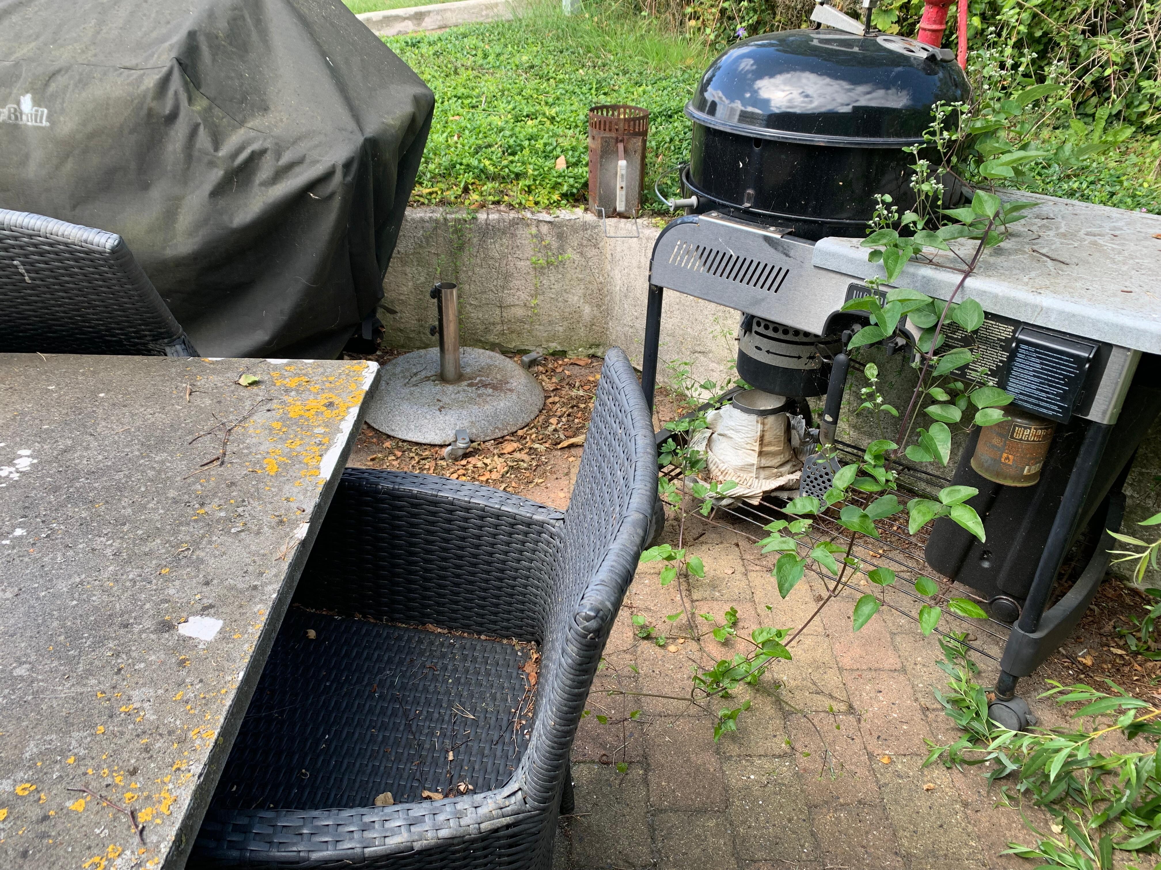 Mosbegroet terrasse