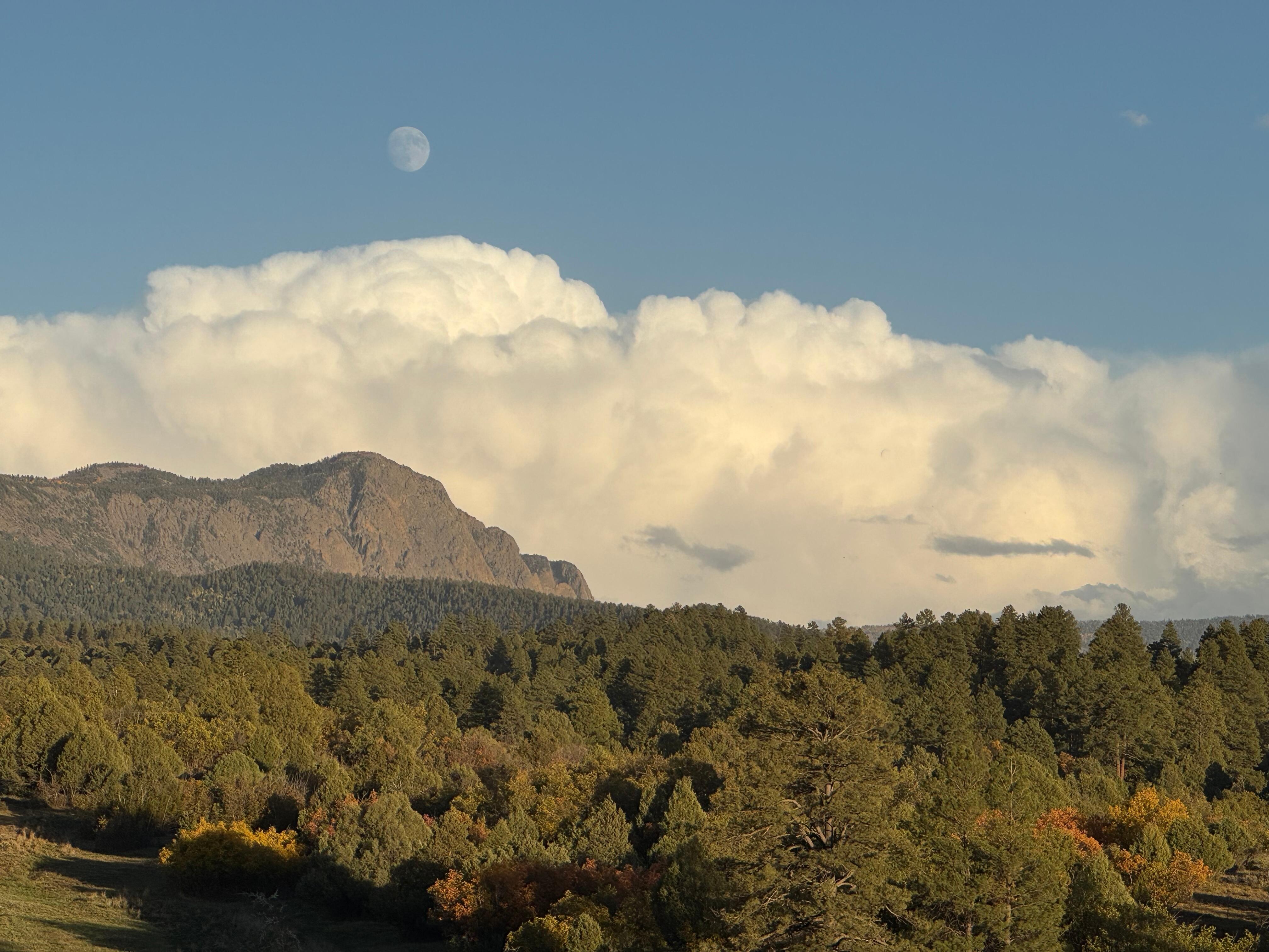 View from front deck. 