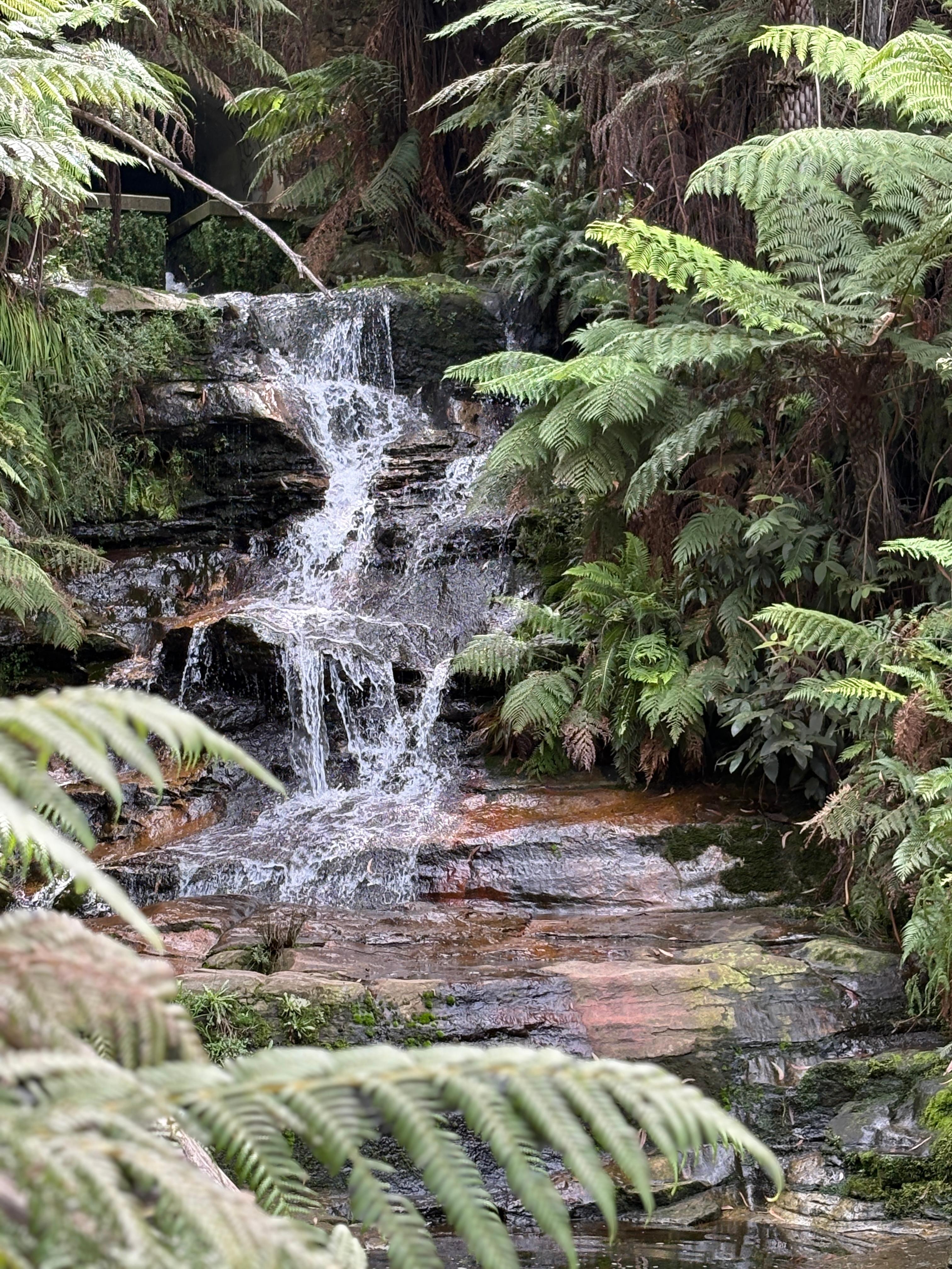 Leura Cascades 