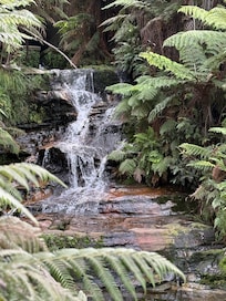 Leura Cascades
