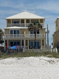 View of the house (with the palm tree).