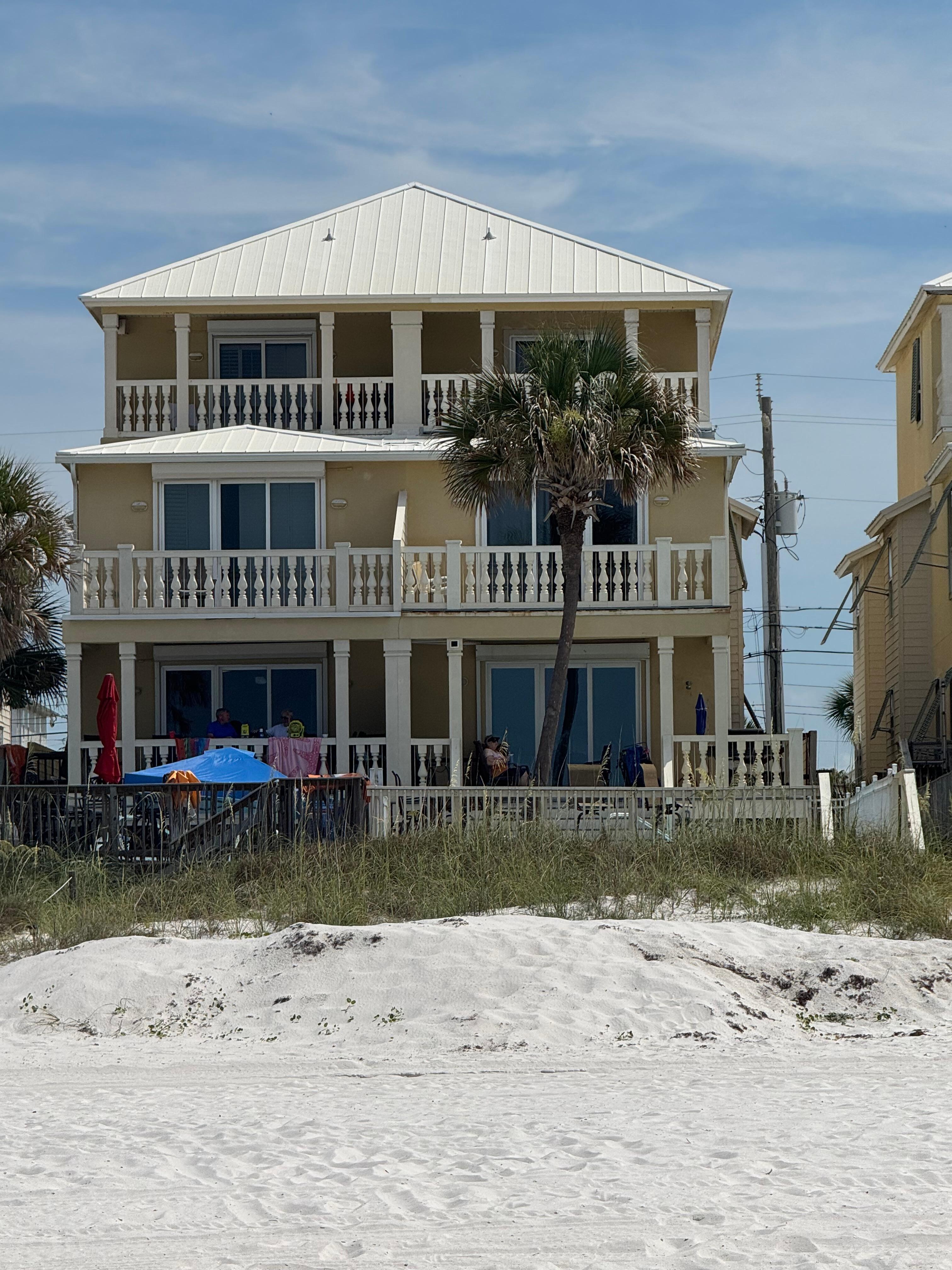 View of the house (with the palm tree).