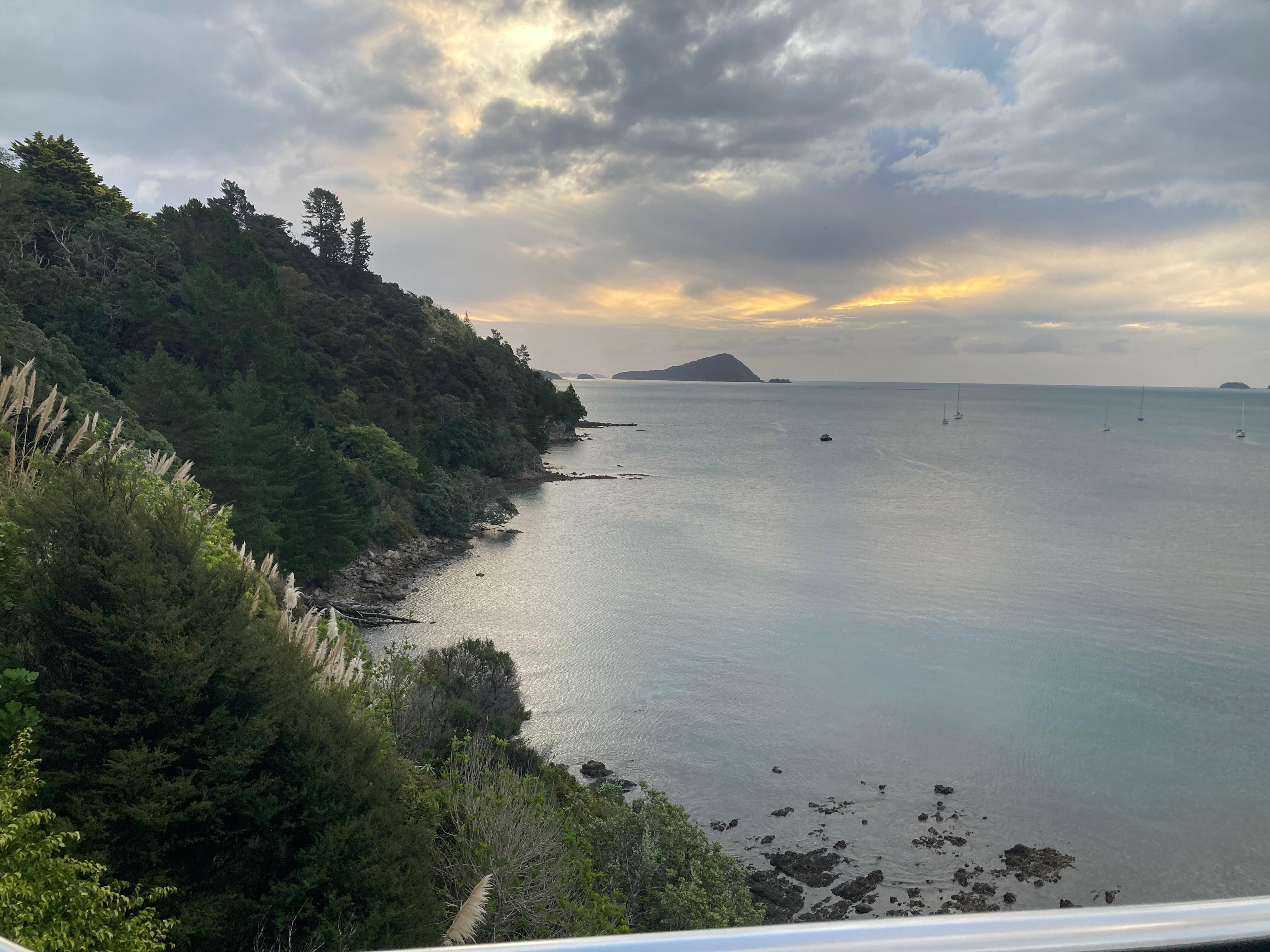 View from the house. 