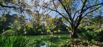Golden Gate Park
