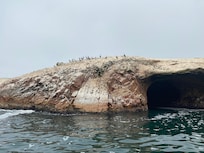 Pictures of attractions nearby