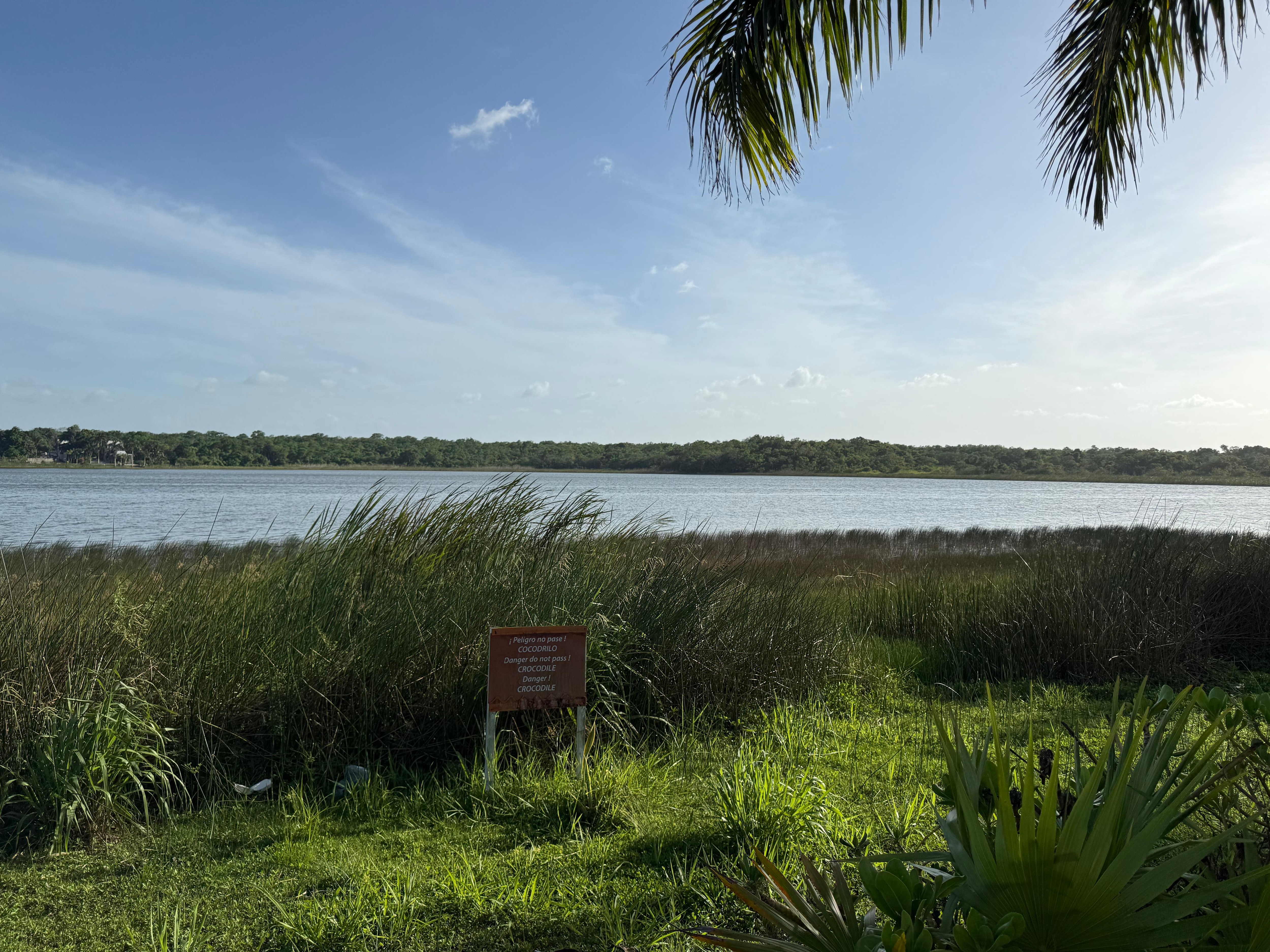 Lagoon with crocodiles
