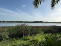 Lagoon with crocodiles