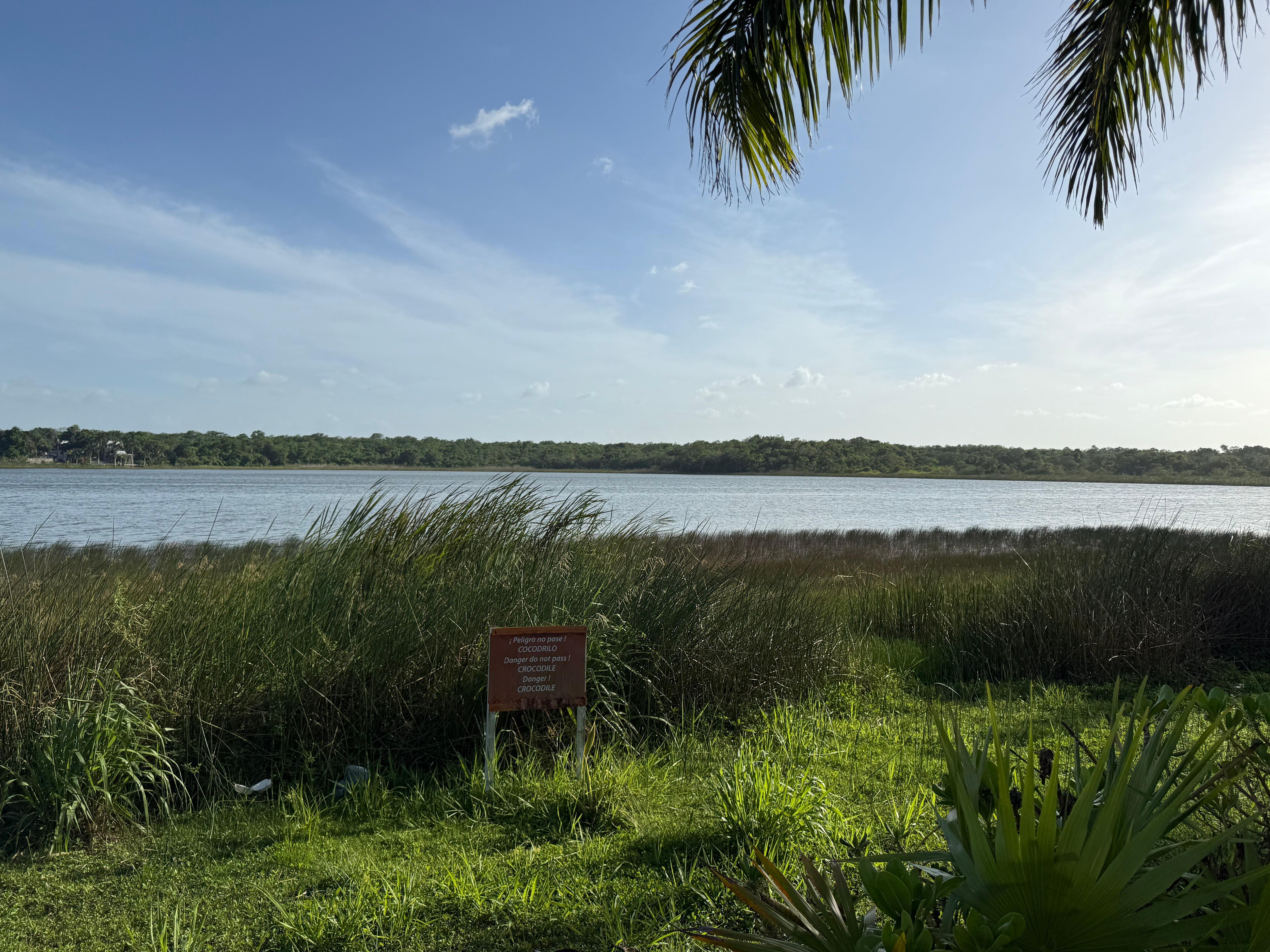 Lagoon with crocodiles 