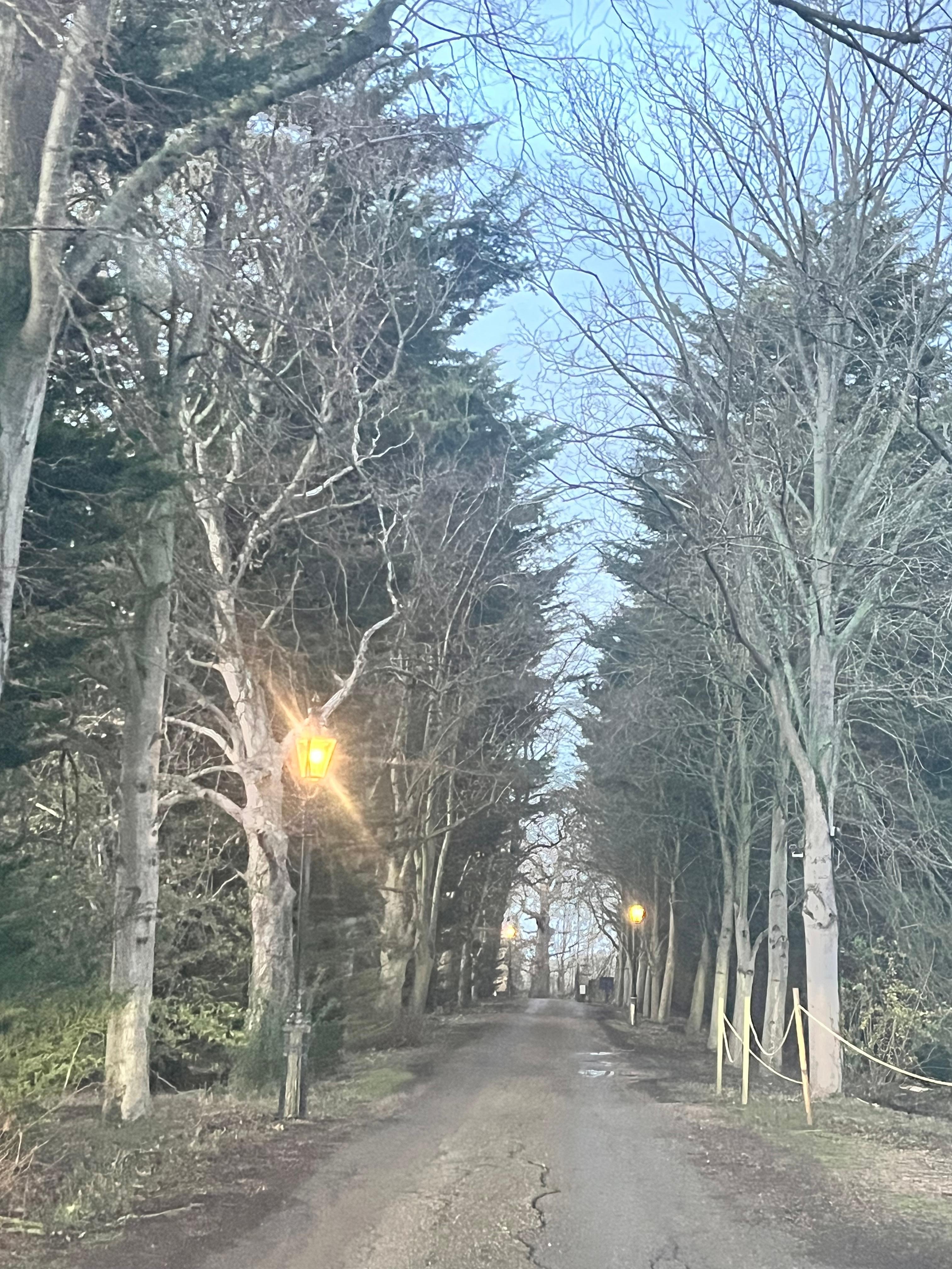 Lovely drive, well lit. Beautiful!