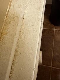 top of vent in bathroom; complete with hairs. GROSS!