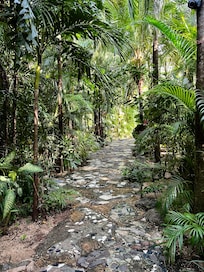 Beautiful walk on the property