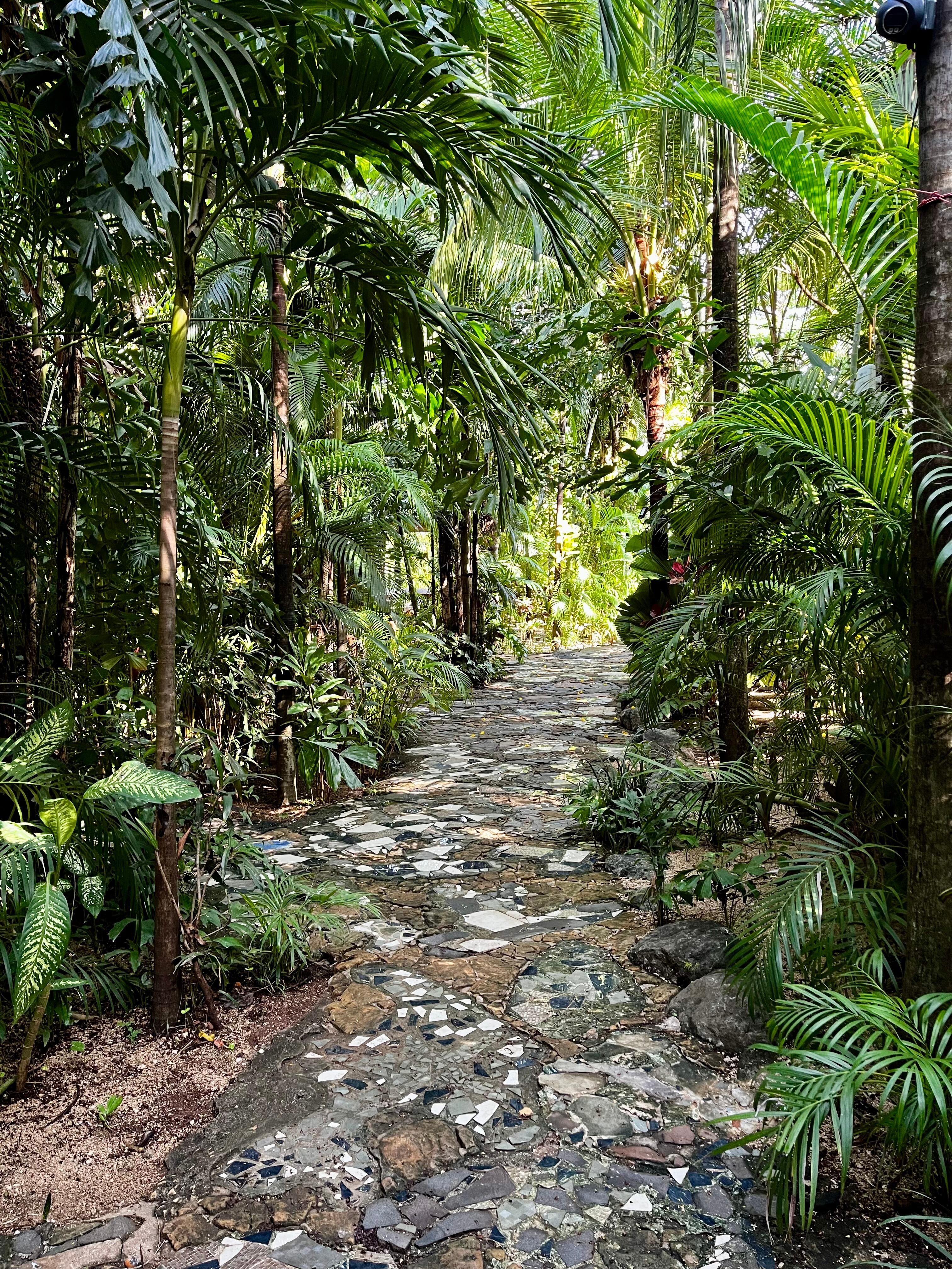 Beautiful walk on the property 