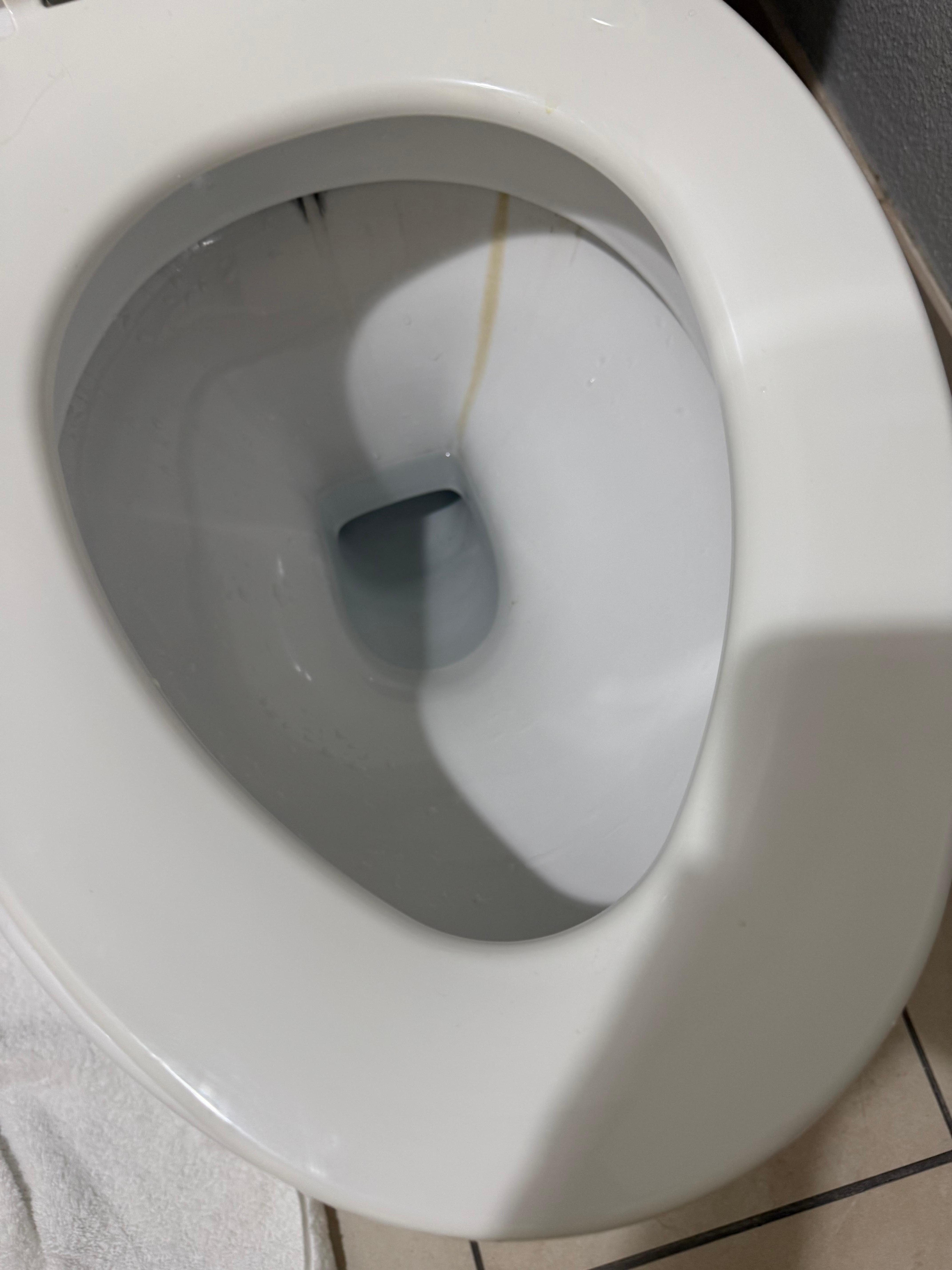 Dirty toilet