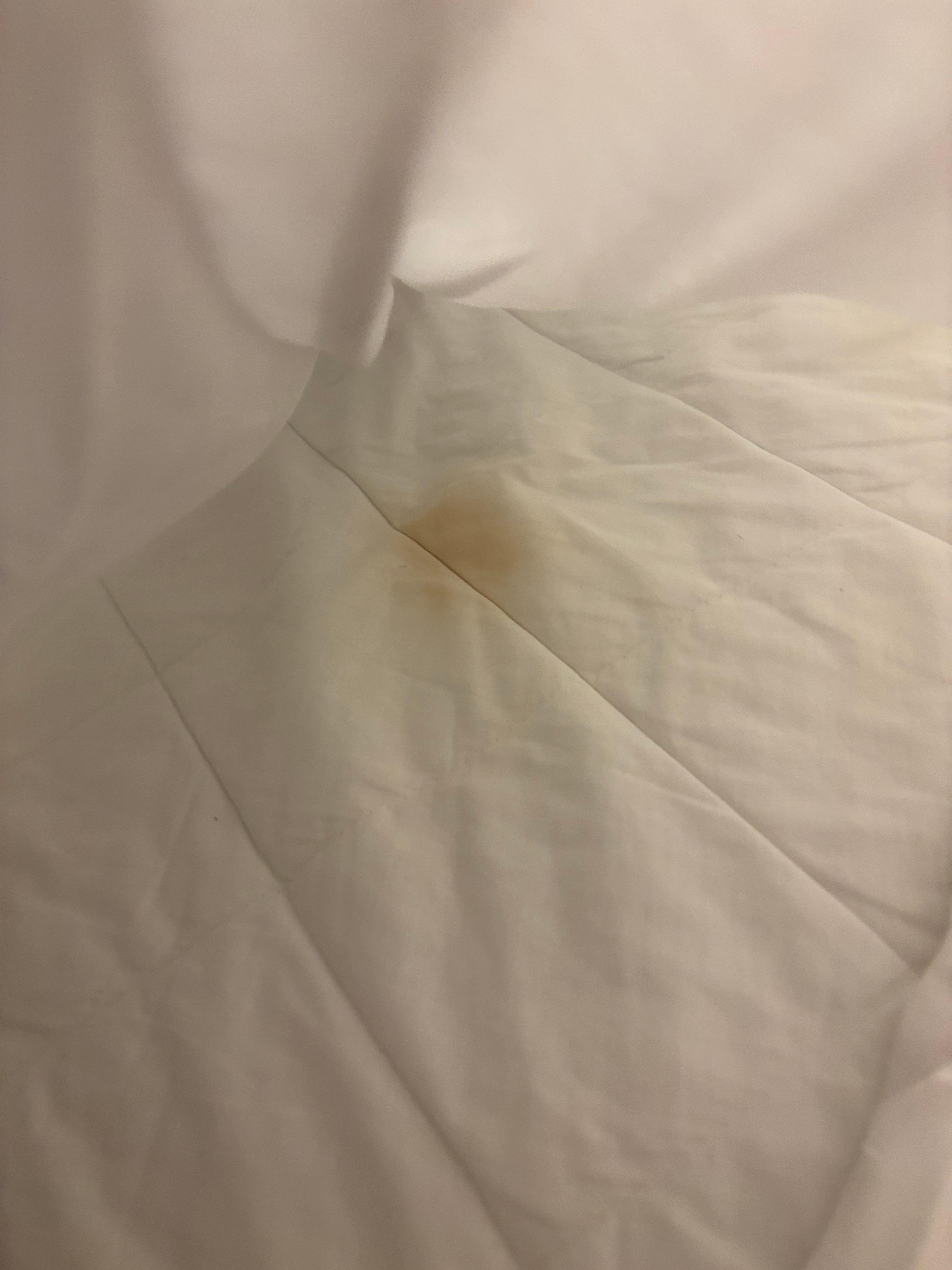Stained mattress visible through the torn bedsheets