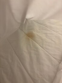 Stained mattress visible through the torn bedsheets