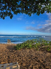From the beach