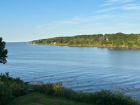 View from the house
