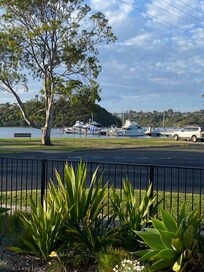 View from the backyard