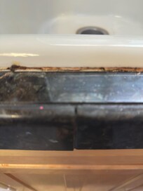 Kitchen Sink mold.