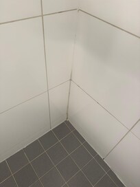 The mold in the shower around the tiles