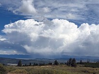 Looking east from Pennsylvania Mountain Natural Area above tree line. Near Fairplay. Check it out.
