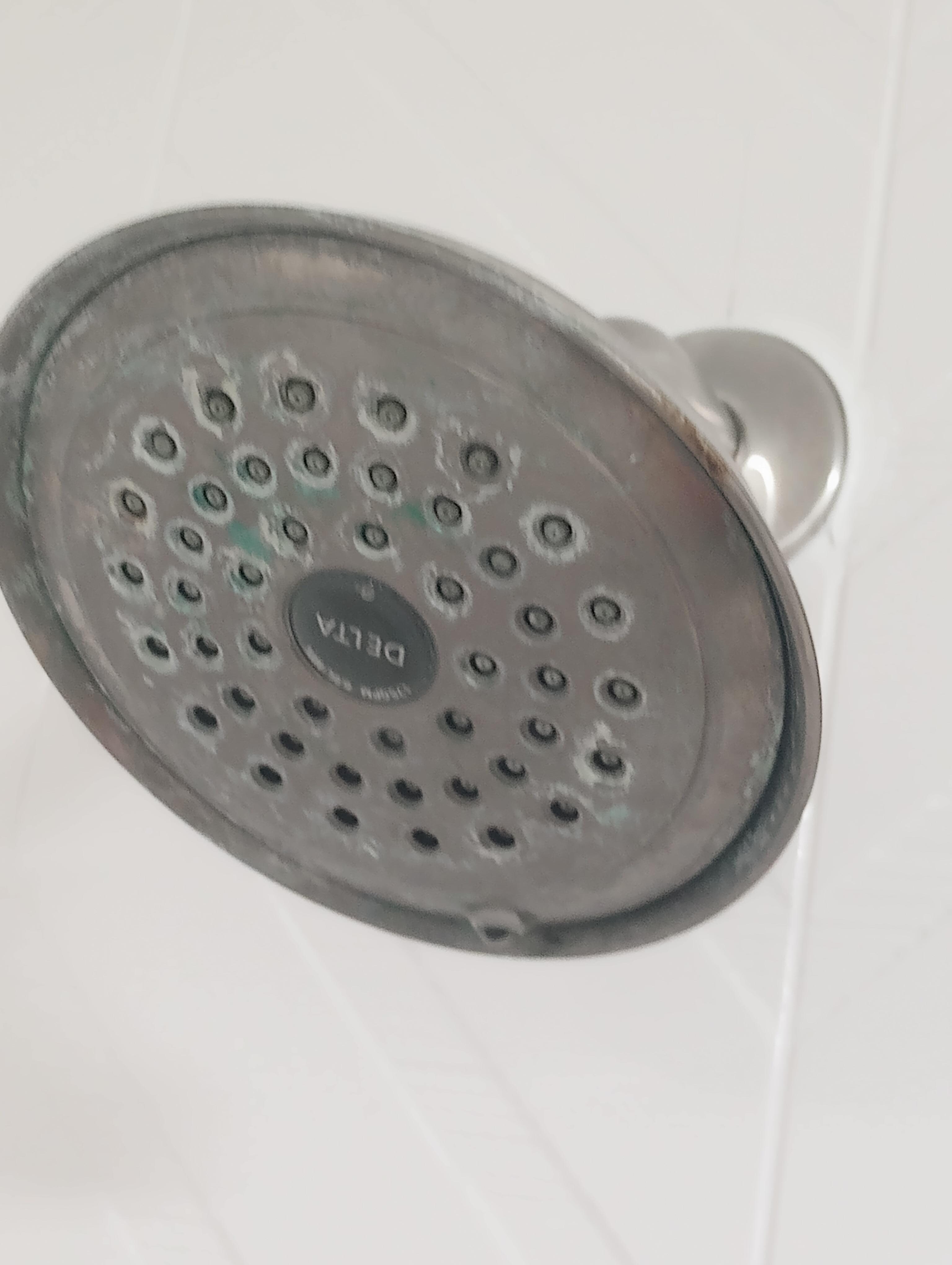 Shower head