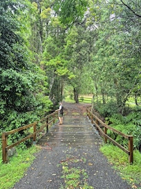 Stunning grounds surrounding the cottage