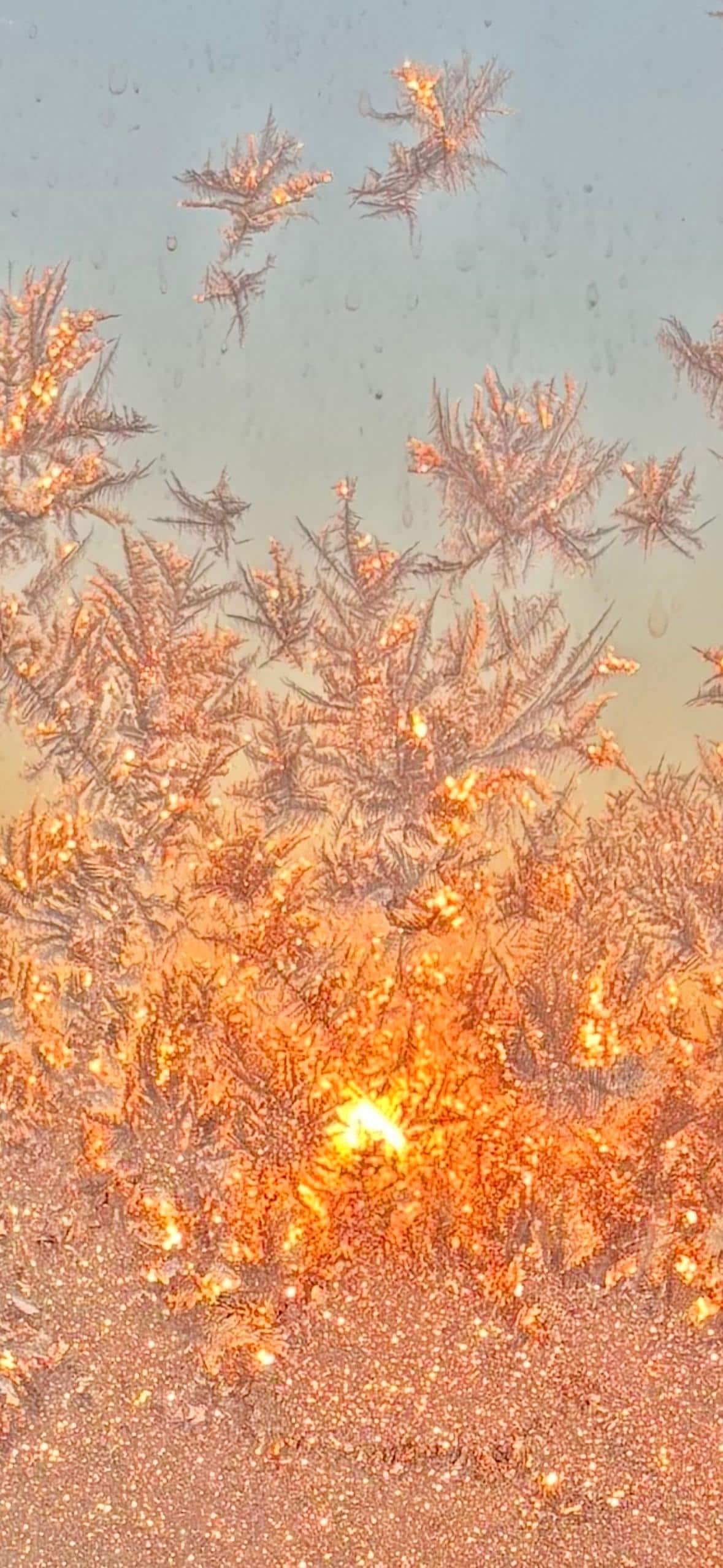 Lovely sunrise on a cold morning 