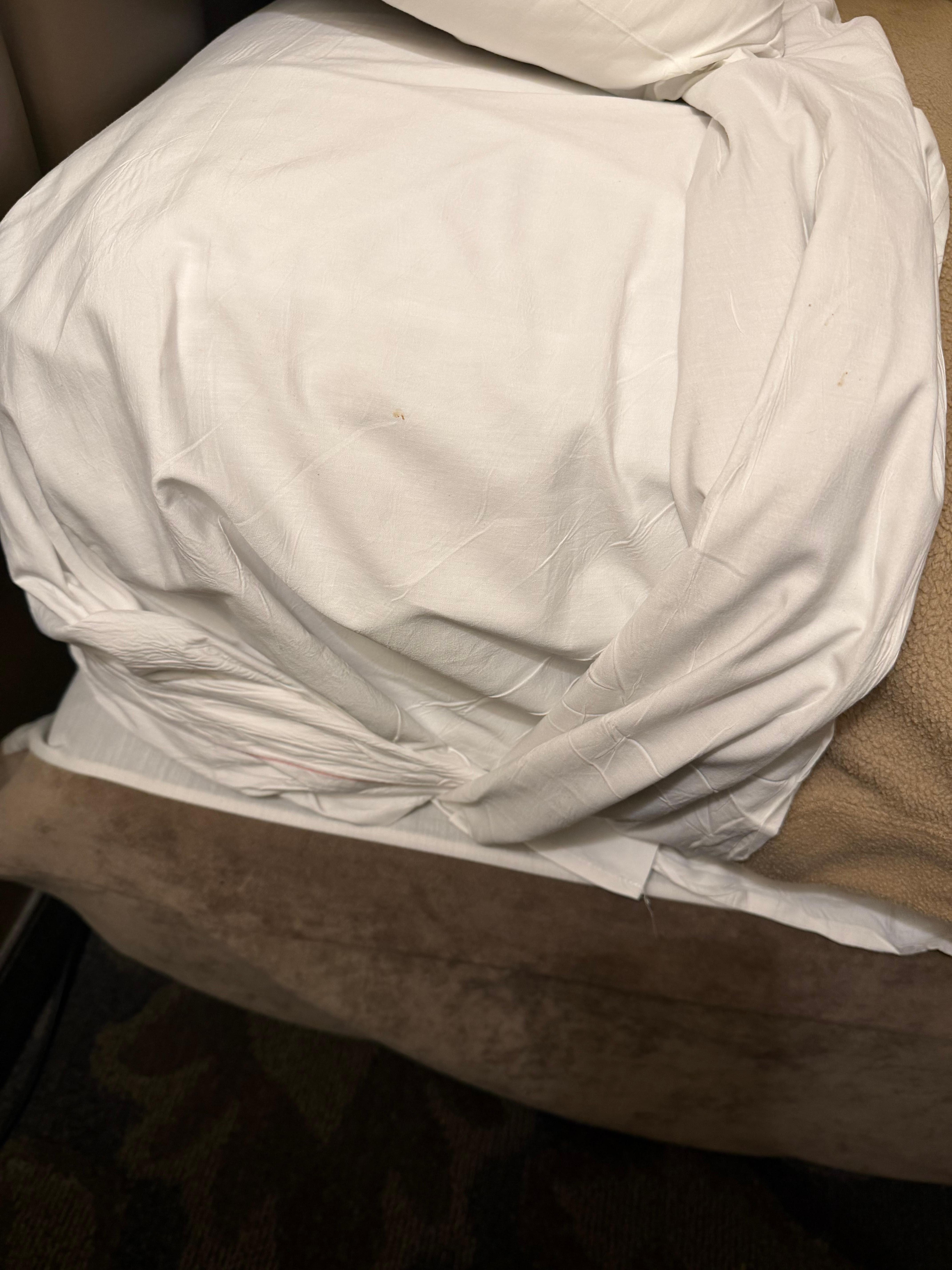 This is the way the bed was made up, and it was here on the sheets