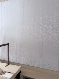 Huge stain on the wall