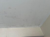 Mold in room 222