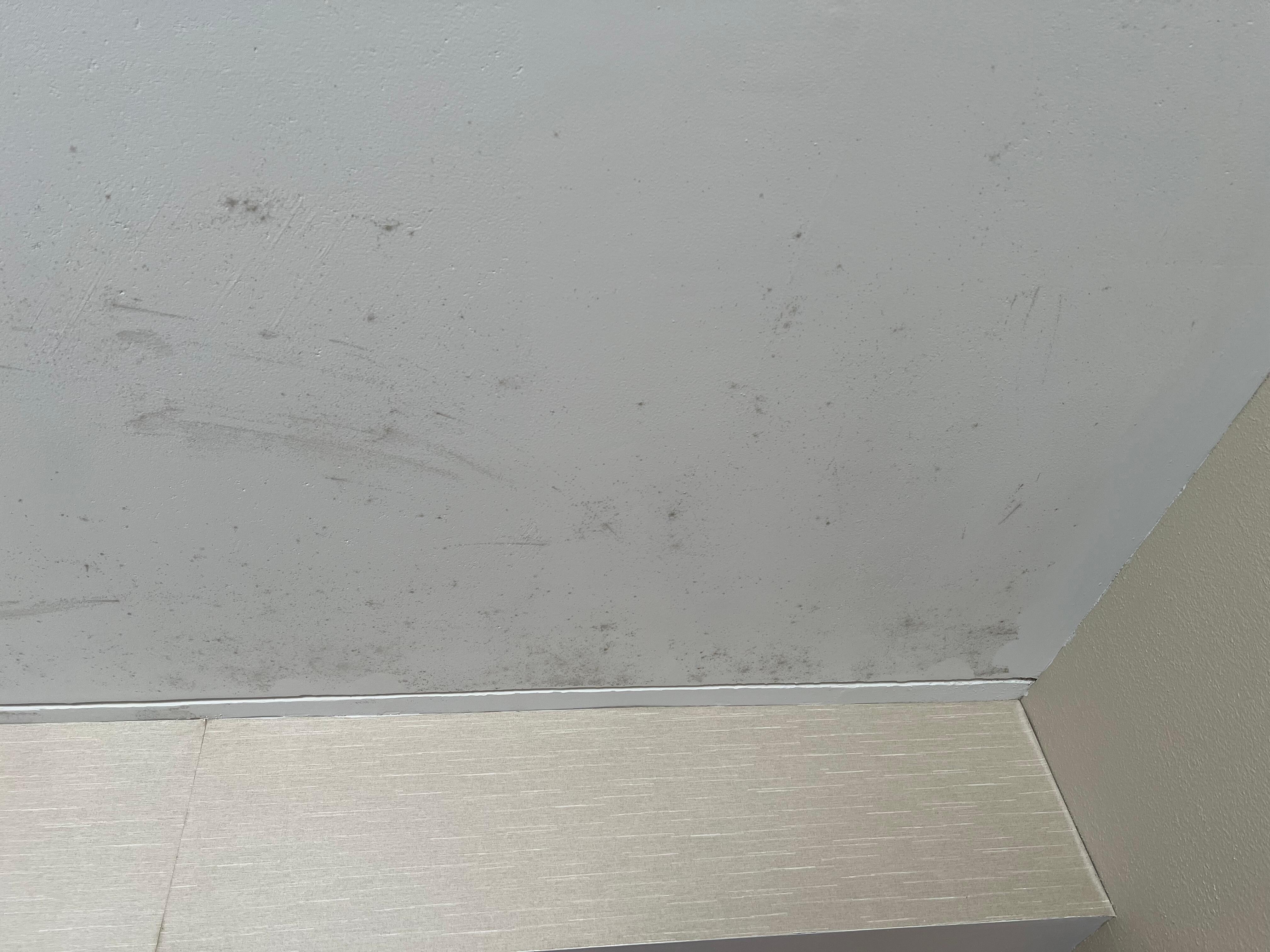 Mold in room 222