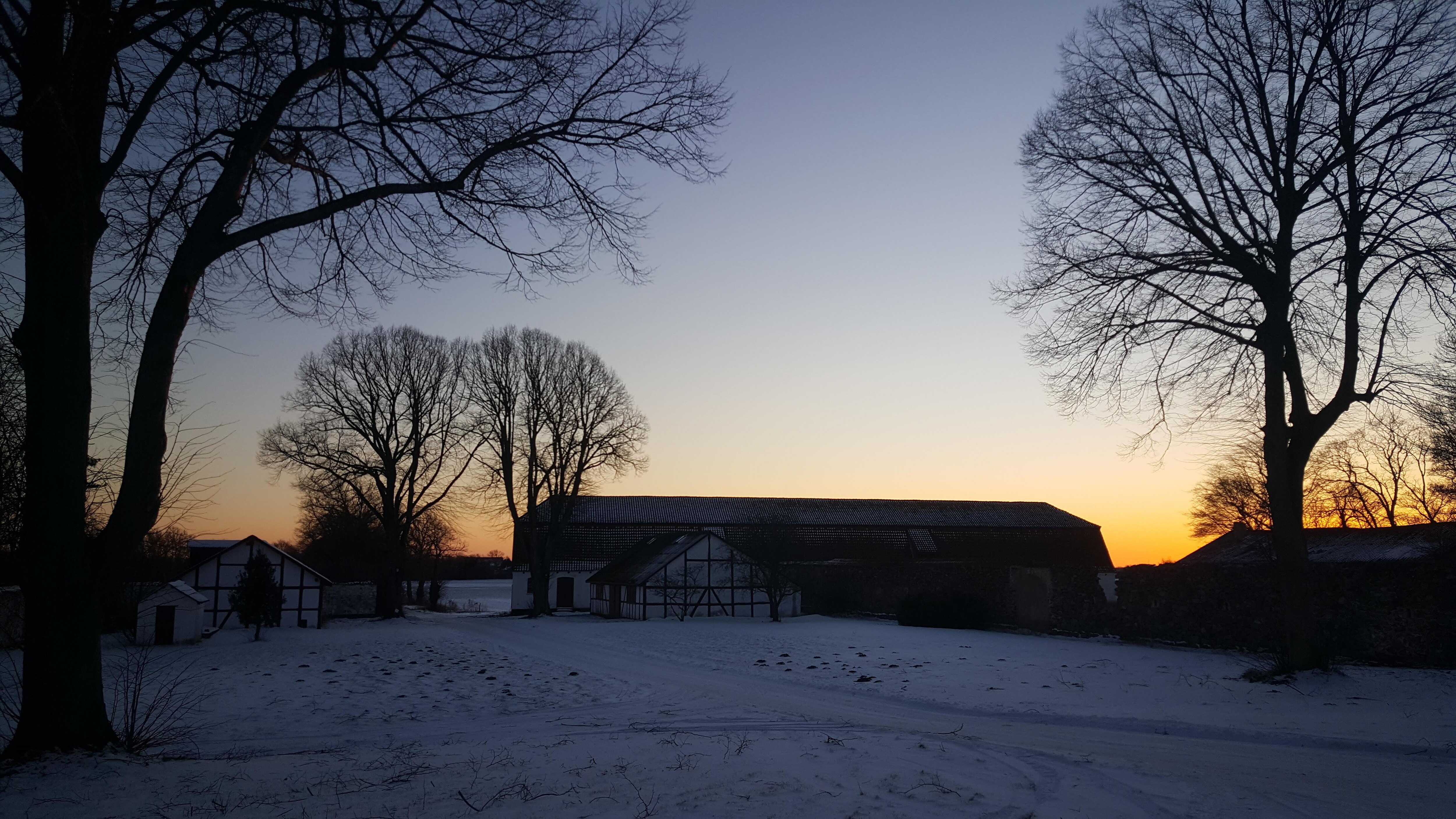 Wintersunset in the countryside