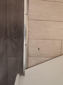 Des insectes dans la chambre..