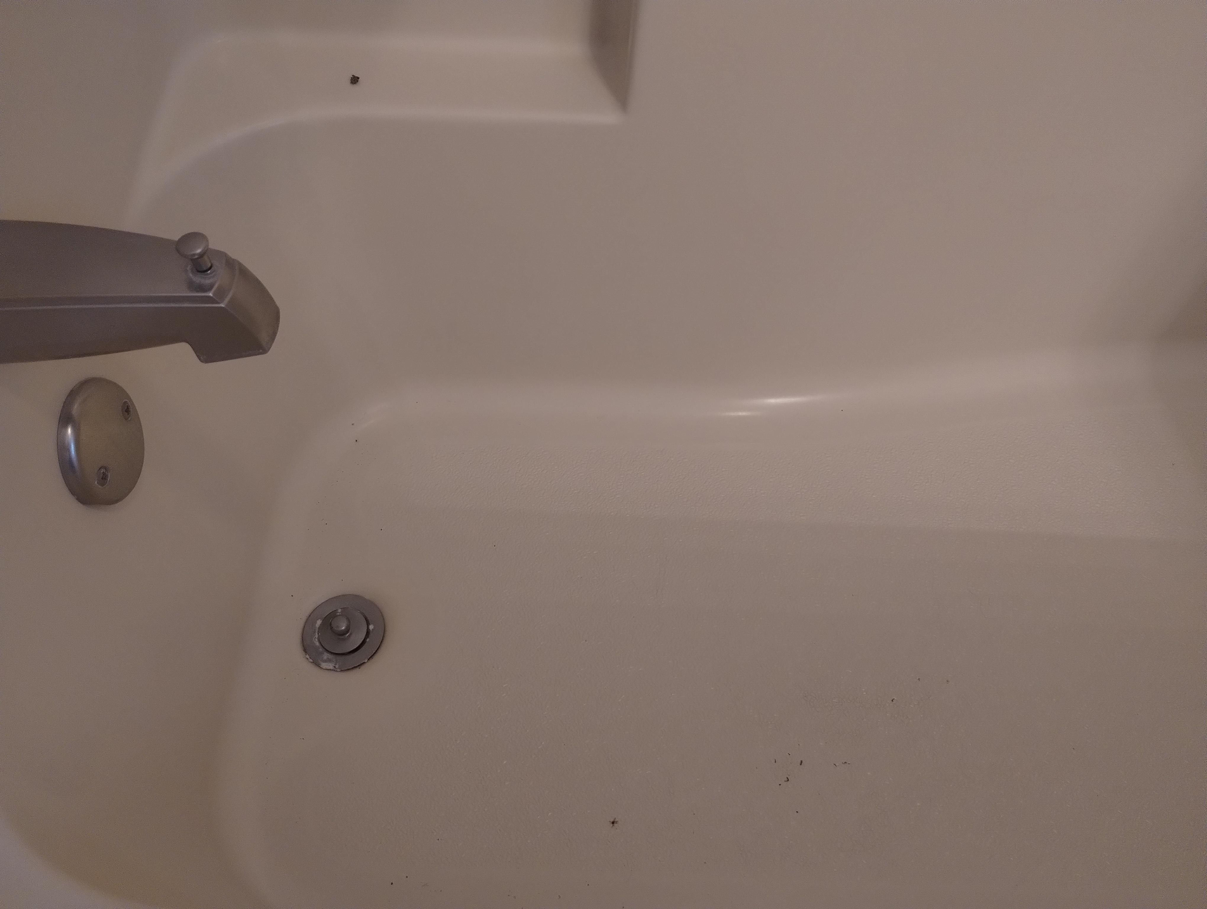 Dead bugs and dirt in the tub