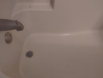 Dead bugs and dirt in the tub