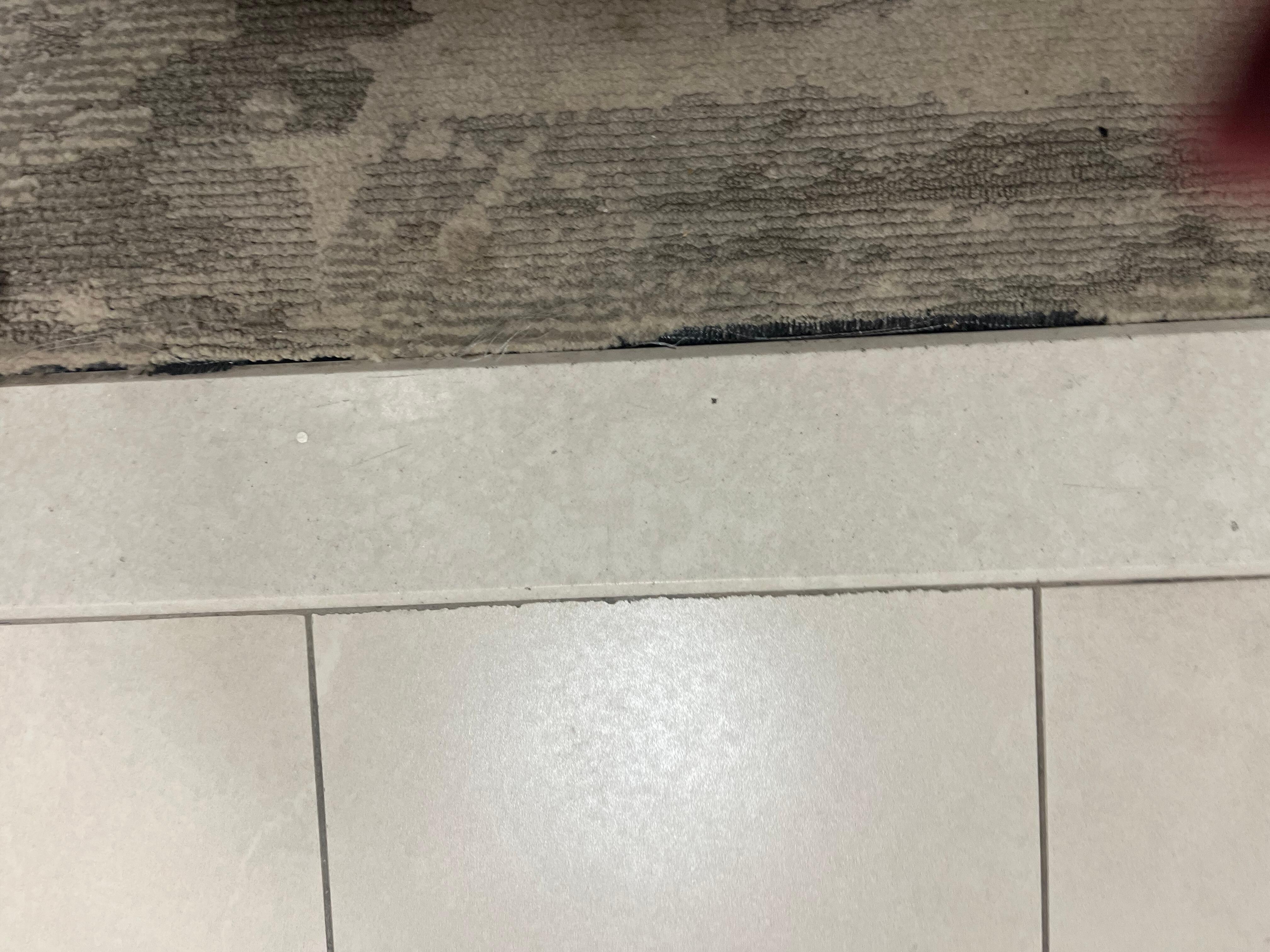 Rips in the carpet all over. Kept tripping on them. 